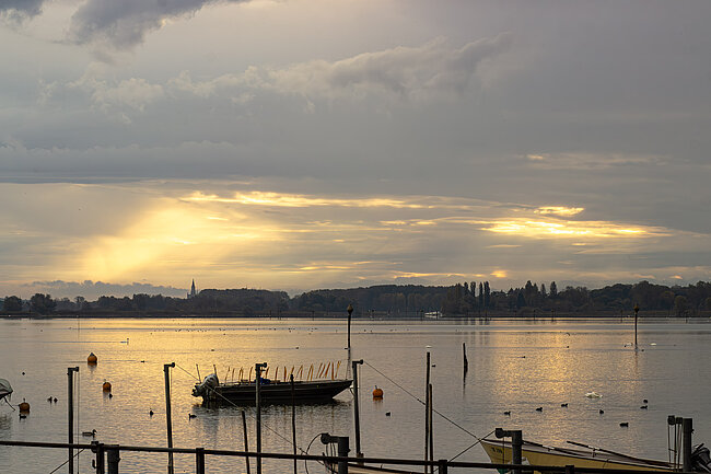 Morgendlicher Blick auf Konstanz