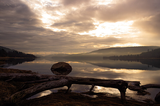 Morgens am Schluchsee